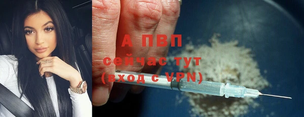СК Алексин