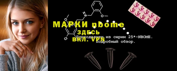 СК Алексин