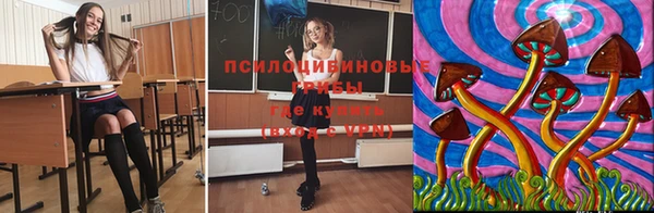 крисы Алексеевка