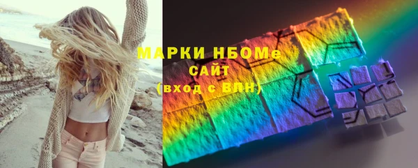 СК Алексин