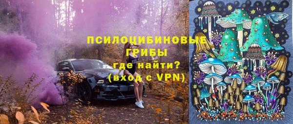 крисы Алексеевка