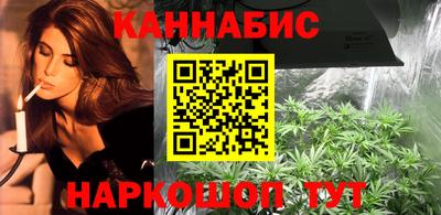 Альфа ПВП Обь