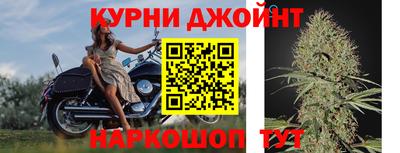 Альфа ПВП Обь