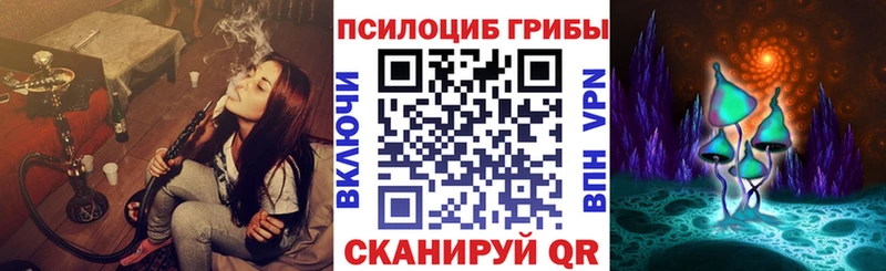мега ссылка  Сибай  Галлюциногенные грибы Psilocybine cubensis 