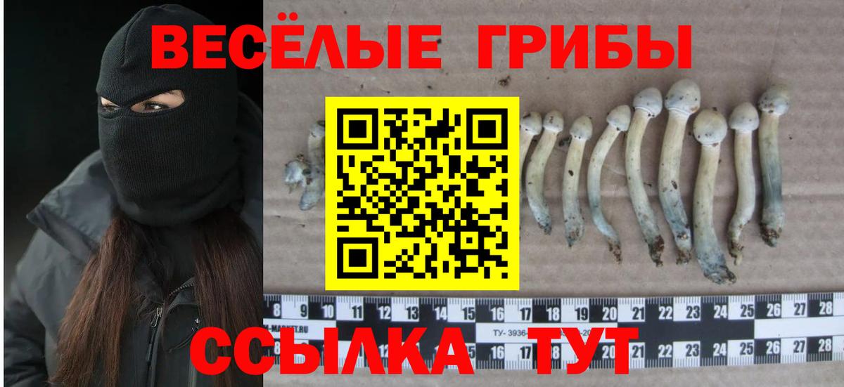 Сибай  Галлюциногенные грибы мицелий  Галлюциногенные грибы Psilocybine cubensis  Вход с VPN 