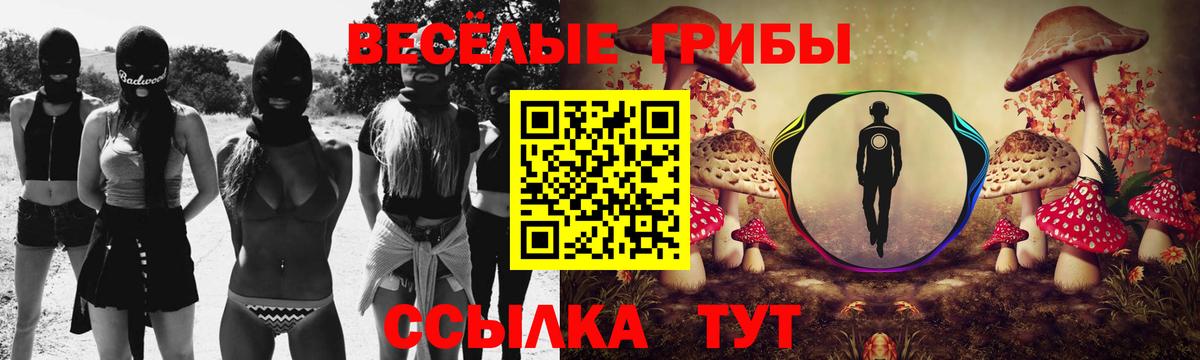 Галлюциногенные грибы прущие грибы Сибай